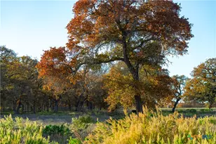 Tbd Tx-123, Seguin, TX 78155 - Photo 3