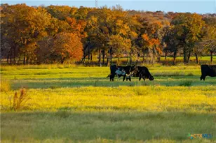 Tbd Tx-123, Seguin, TX 78155 - Photo 1
