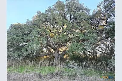 4584 US Hwy 77A, Cuero, TX 77954 - Photo 13
