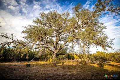 Tbd Fm 2722, New Braunfels, TX 78132 - Photo 25