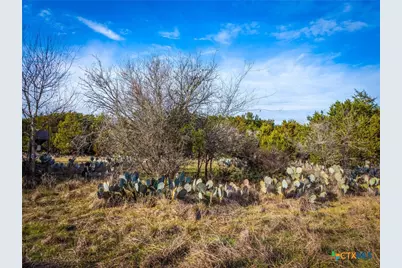 Tbd Fm 2722, New Braunfels, TX 78132 - Photo 15
