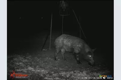 4025 County Road 284, Harwood, TX 78632 - Photo 7