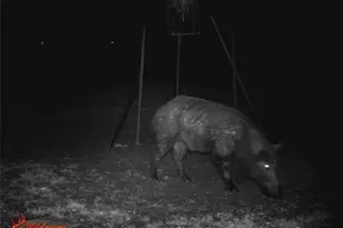 4025 Co Rd 284, Harwood, TX 78632 - Photo 7