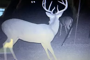 4025 Co Rd 284, Harwood, TX 78632 - Photo 5