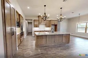 4219 Cool Basin, Kempner, TX 76539 - Photo 5