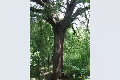 106 Gbrv Loop, Canyon Lake, TX 78133 - Photo 31