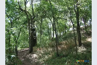 106 Gbrv Loop, Canyon Lake, TX 78133 - Photo 37