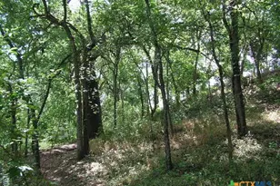 106 Gbrv Loop, Canyon Lake, TX 78133 - Photo 37