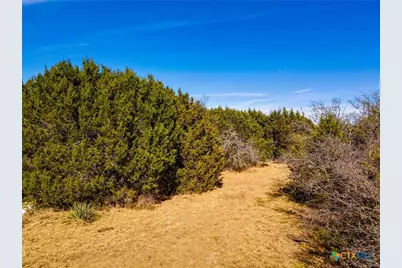 8601 Trimmier Road, Killeen, TX 76542 - Photo 9