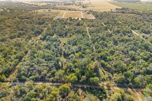 262 Gander Slough Rd, Kingsbury, TX 78638 - Photo 31