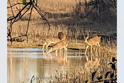 15631 Fm 682, Yoakum, TX 77995 - Photo 41