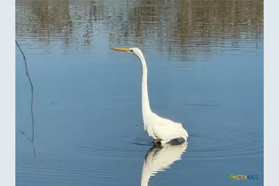 15631 Fm 682, Yoakum, TX 77995 - Photo 43