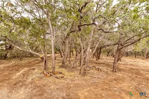 1595 Rocky Ridge Loop, Canyon Lake, TX 78133 - Photo 31