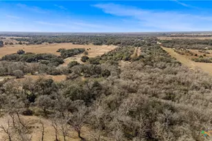 Tbd St Hwy 111 N, Edna, TX 77957 - Photo 13