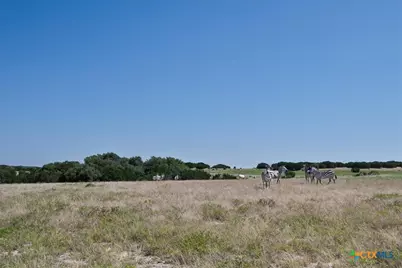 6101 Cr 208, Lampasas, TX 76550 - Photo 19