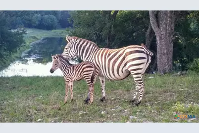 6101 Cr 208, Lampasas, TX 76550 - Photo 5