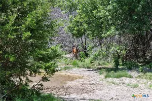 6101 Cr 208, Lampasas, TX 76550 - Photo 27