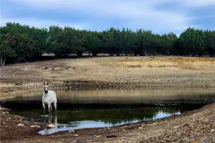 6101 Cr 208, Lampasas, TX 76550 - Photo 29