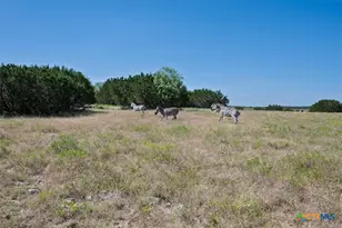 6101 Cr 208, Lampasas, TX 76550 - Photo 37