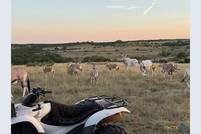 6101 Cr 208, Lampasas, TX 76550 - Photo 31