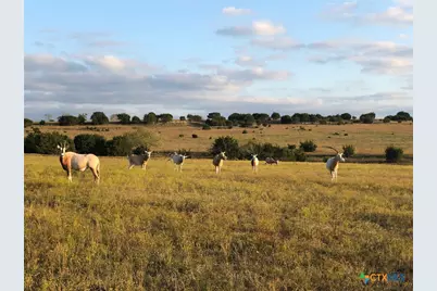 6101 Cr 208, Lampasas, TX 76550 - Photo 7
