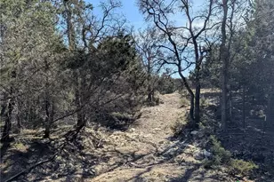 6101 Cr 208, Lampasas, TX 76550 - Photo 41