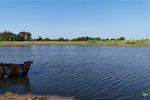 2039 Co Rd 326, Giddings, TX 78942 - Photo 11