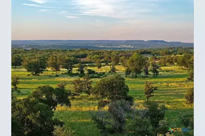 Lot 4 County Road 220, Briggs, TX 78608 - Photo 7