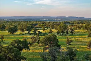 Lot 4 County Road 220, Briggs, TX 78608 - Photo 7