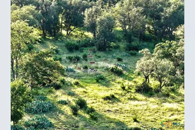 Lot 4 County Road 220, Briggs, TX 78608 - Photo 1