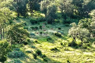 Lot 4 County Road 220, Briggs, TX 78608 - Photo 1