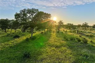 Lot 4 County Road 220, Briggs, TX 78608 - Photo 3