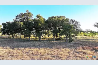 Lot 4 County Road 220, Briggs, TX 78608 - Photo 5