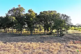 Lot 4 County Road 220, Briggs, TX 78608 - Photo 5