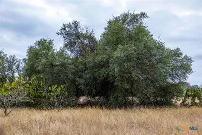 Tbd Cr 200, Burnet, TX 78611 - Photo 17