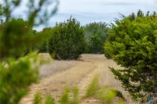 Tbd Cr 200, Burnet, TX 78611 - Photo 15