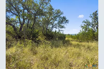 820 Stone Ridge Mountain Drive, Round Mountain, TX 78663 - Photo 15