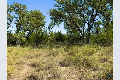 820 Stone Ridge Mountain Drive, Round Mountain, TX 78663 - Photo 17