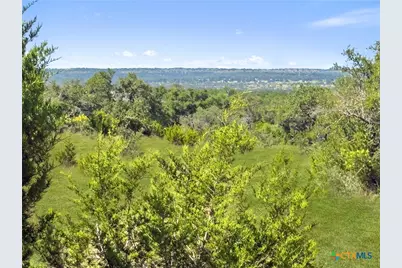 820 Stone Ridge Mountain Drive, Round Mountain, TX 78663 - Photo 19