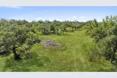 820 Stone Ridge Mountain Drive, Round Mountain, TX 78663 - Photo 21