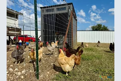 2963 Barr Lane, Copperas Cove, TX 76522 - Photo 31