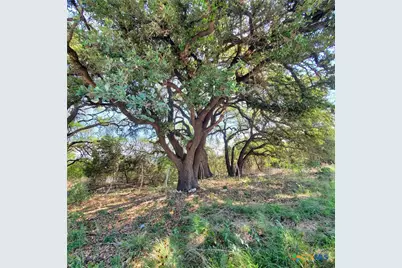 0 E US Highway 190, Kempner, TX 76539 - Photo 1