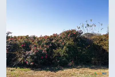 1502 Shims Boulevard, Killeen, TX 76543 - Photo 31