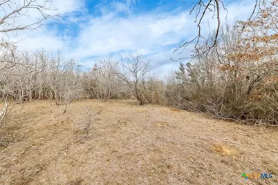 Tbd County Road 424, Waelder, TX 78959 - Photo 23