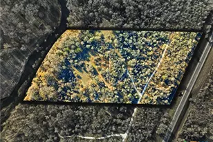 Tract 2 US Hwy 90 Alt, Seguin, TX 78155 - Photo 5