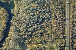 Tract 3 US Hwy 90 Alt, Seguin, TX 78155 - Photo 37