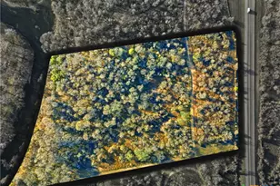 Tract 5 US Hwy 90 Alt, Seguin, TX 78155 - Photo 5