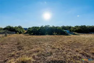 301 Medlin Creek Loop, Dripping Springs, TX 78620 - Photo 11