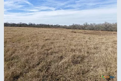 956 Johnson Farms Road, Harwood, TX 78632 - Photo 5