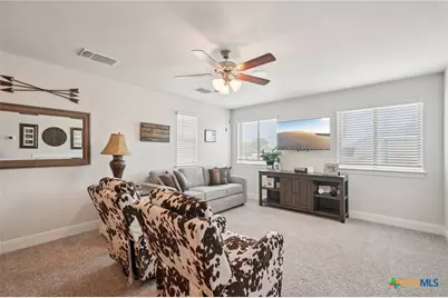 424 Heidelberg Road, New Braunfels, TX 78132 - Photo 27